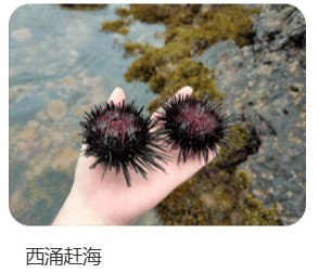 深圳一海滩惊现大量海鲜！有网友称怒捡一百多斤……