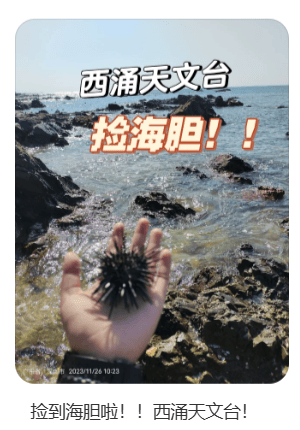 深圳一海滩惊现大量海鲜！有网友称怒捡一百多斤……