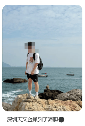 深圳一海滩惊现大量海鲜！有网友称怒捡一百多斤……