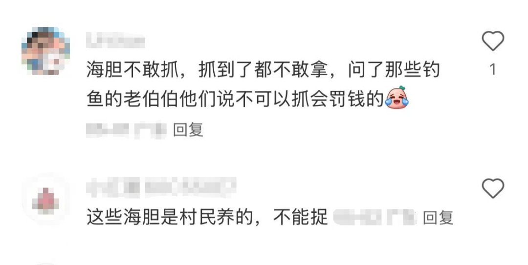 深圳一海滩惊现大量海鲜！有网友称怒捡一百多斤……