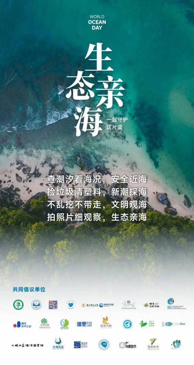 深圳一海滩惊现大量海鲜！有网友称怒捡一百多斤……