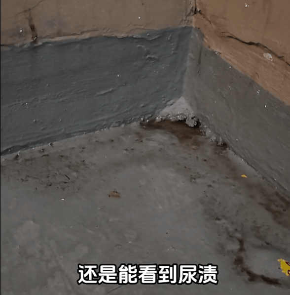 上海有外卖员在楼道看着监控继续尿尿！居民苦不堪言：第二天味道就上来了