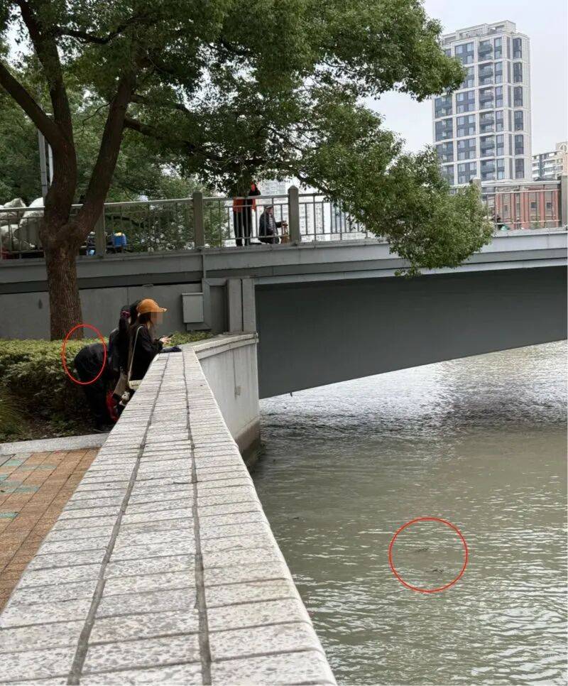 事发苏州河!又有人干这事,画面引人不适!上海明确禁止,危害极大,严重可追究刑责