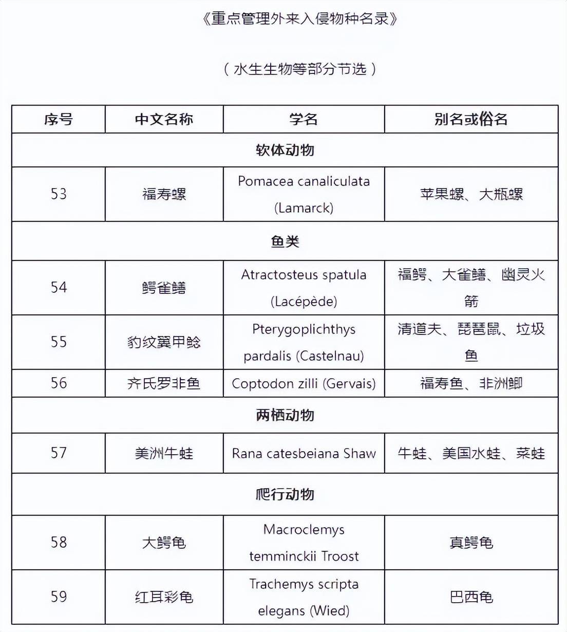 事发苏州河!又有人干这事,画面引人不适!上海明确禁止,危害极大,严重可追究刑责