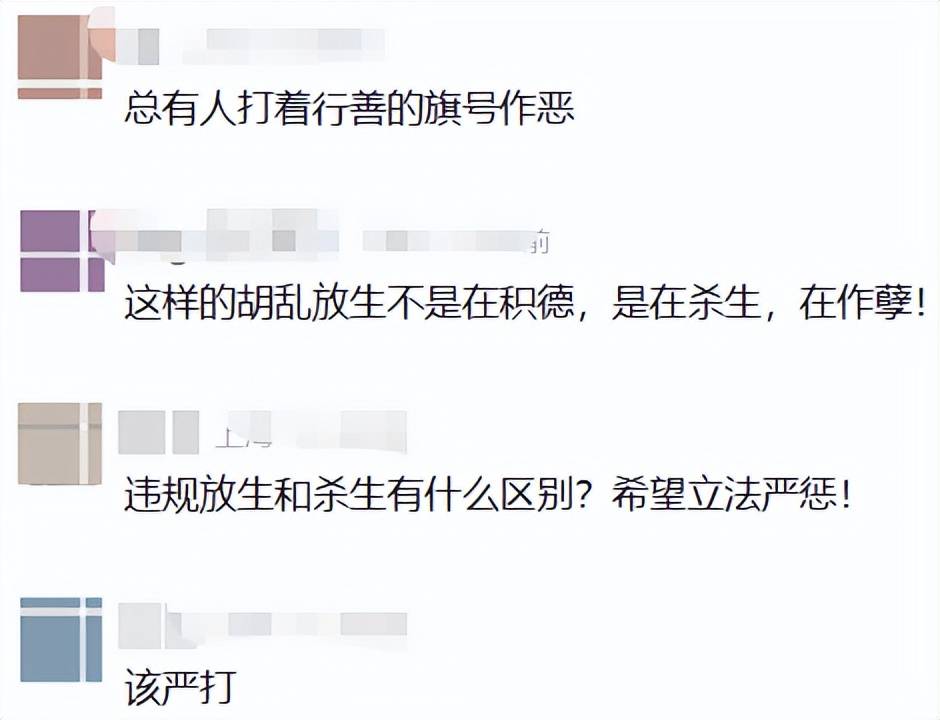 事发苏州河!又有人干这事,画面引人不适!上海明确禁止,危害极大,严重可追究刑责