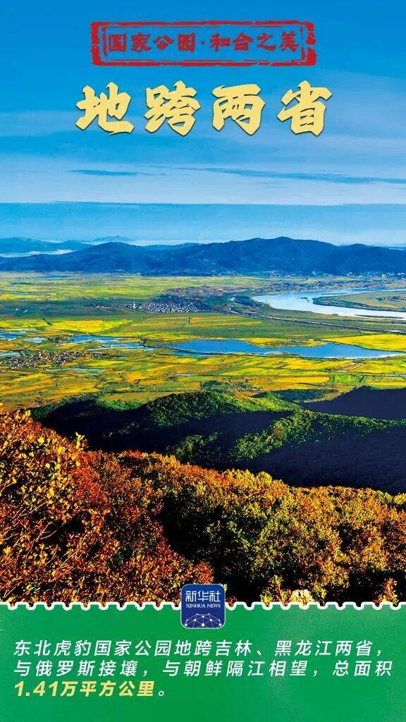 新华社:东北虎豹国家公园 猛兽家园野性王国