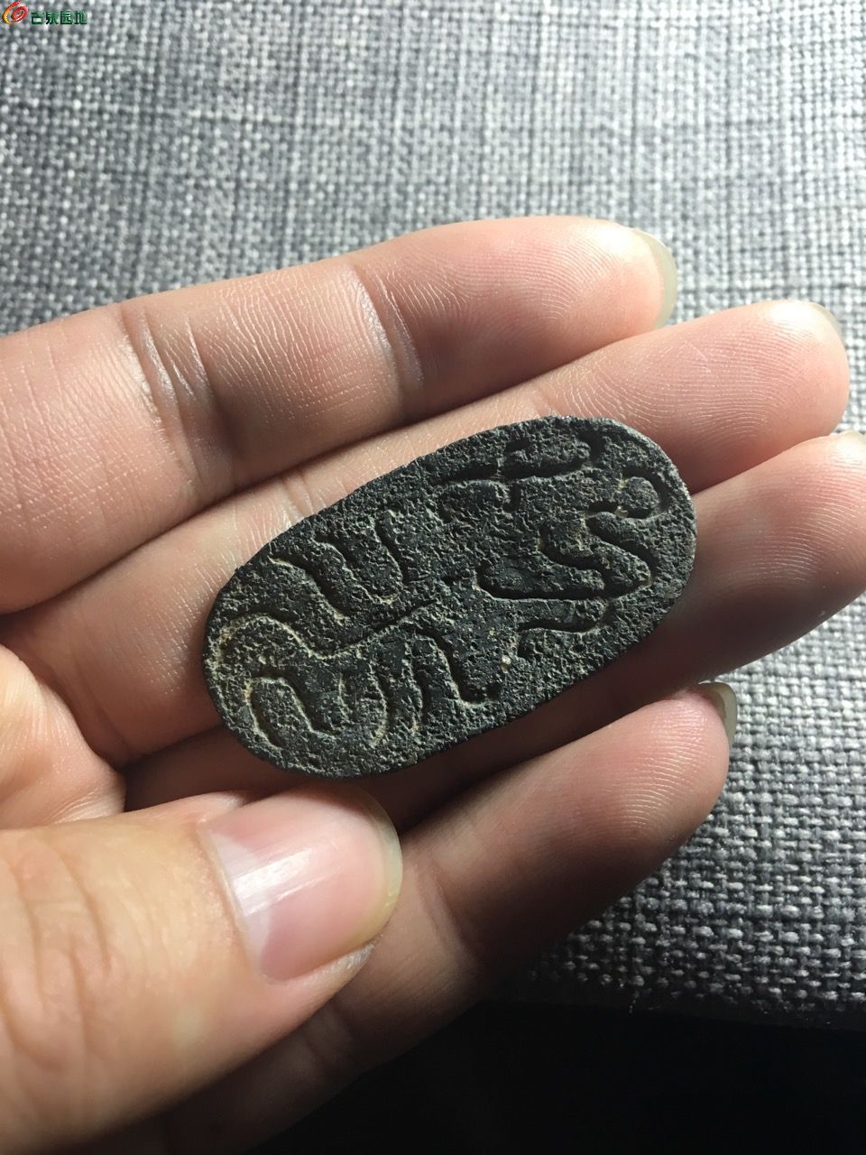 乌龟币(乌龟币中文社区)