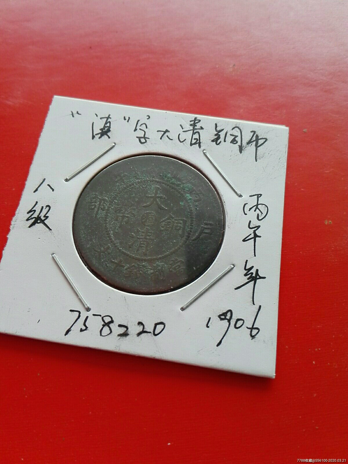滇币(滇币鸟)