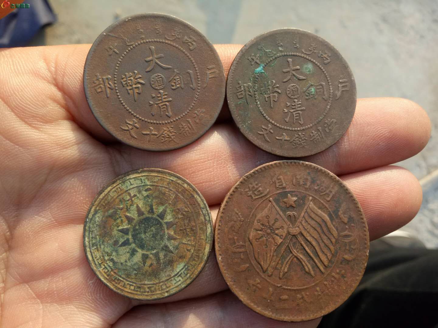 滇币(滇币是什么)