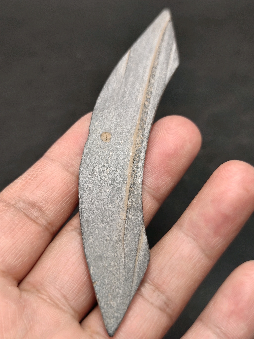罄币(罄币拍卖)