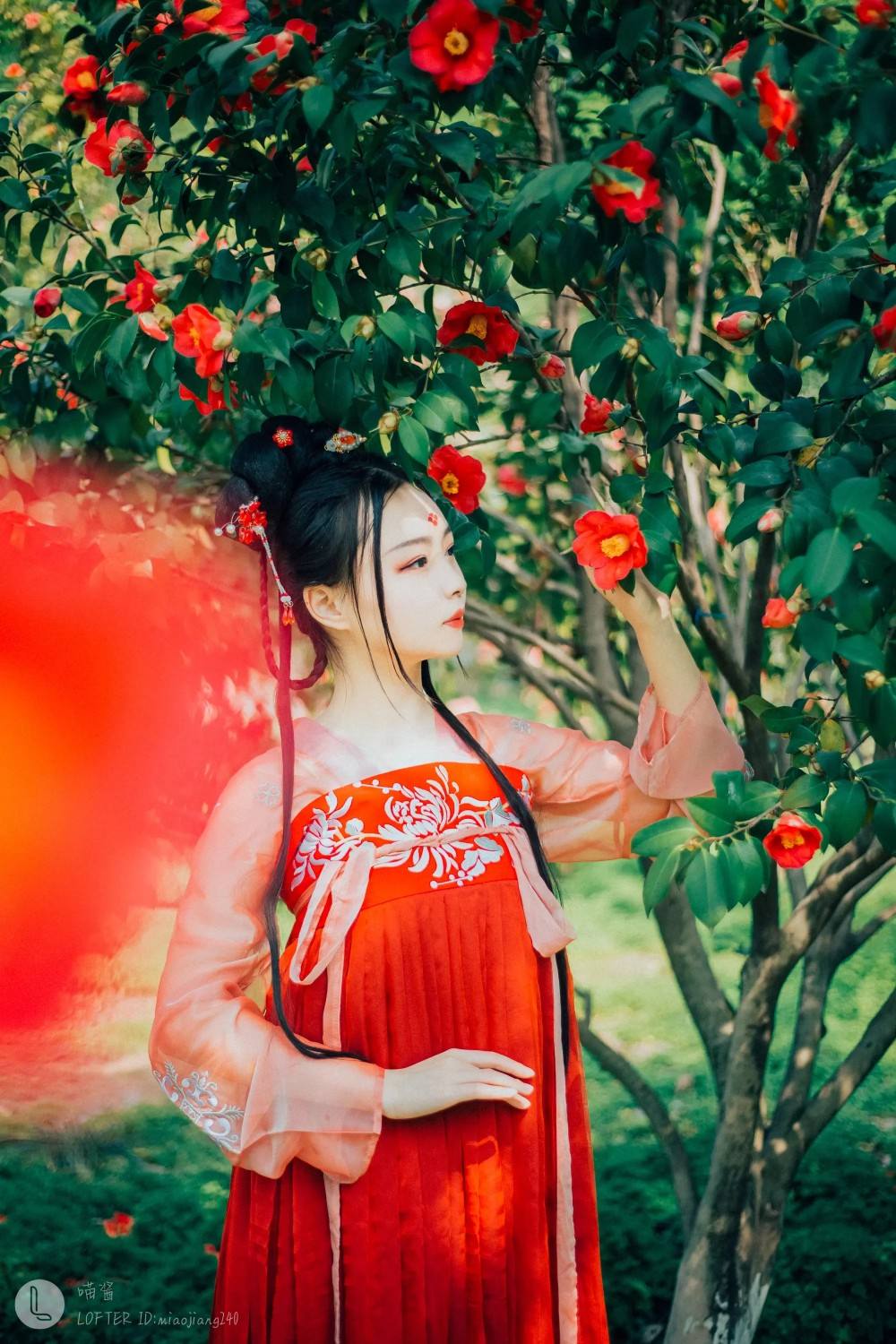 币月羞花(花羞月多少钱一盒)