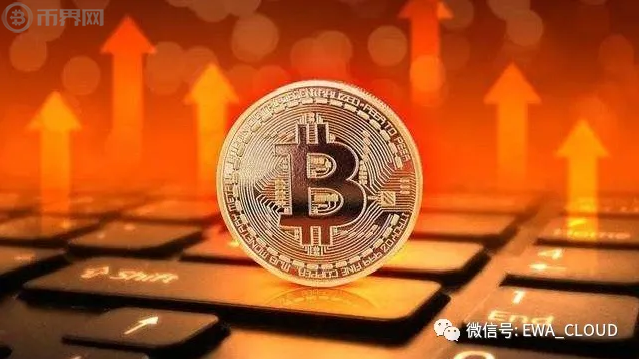 币利网(比利王表情包)