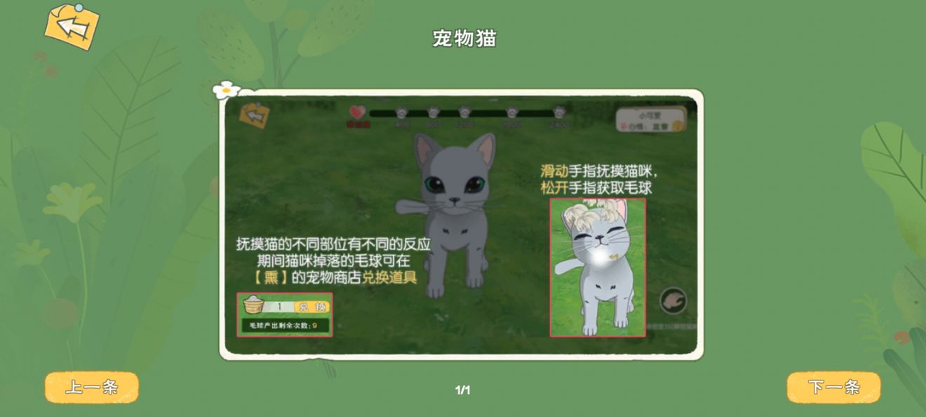 猫币充值(猫币兑换的红包怎样使用)