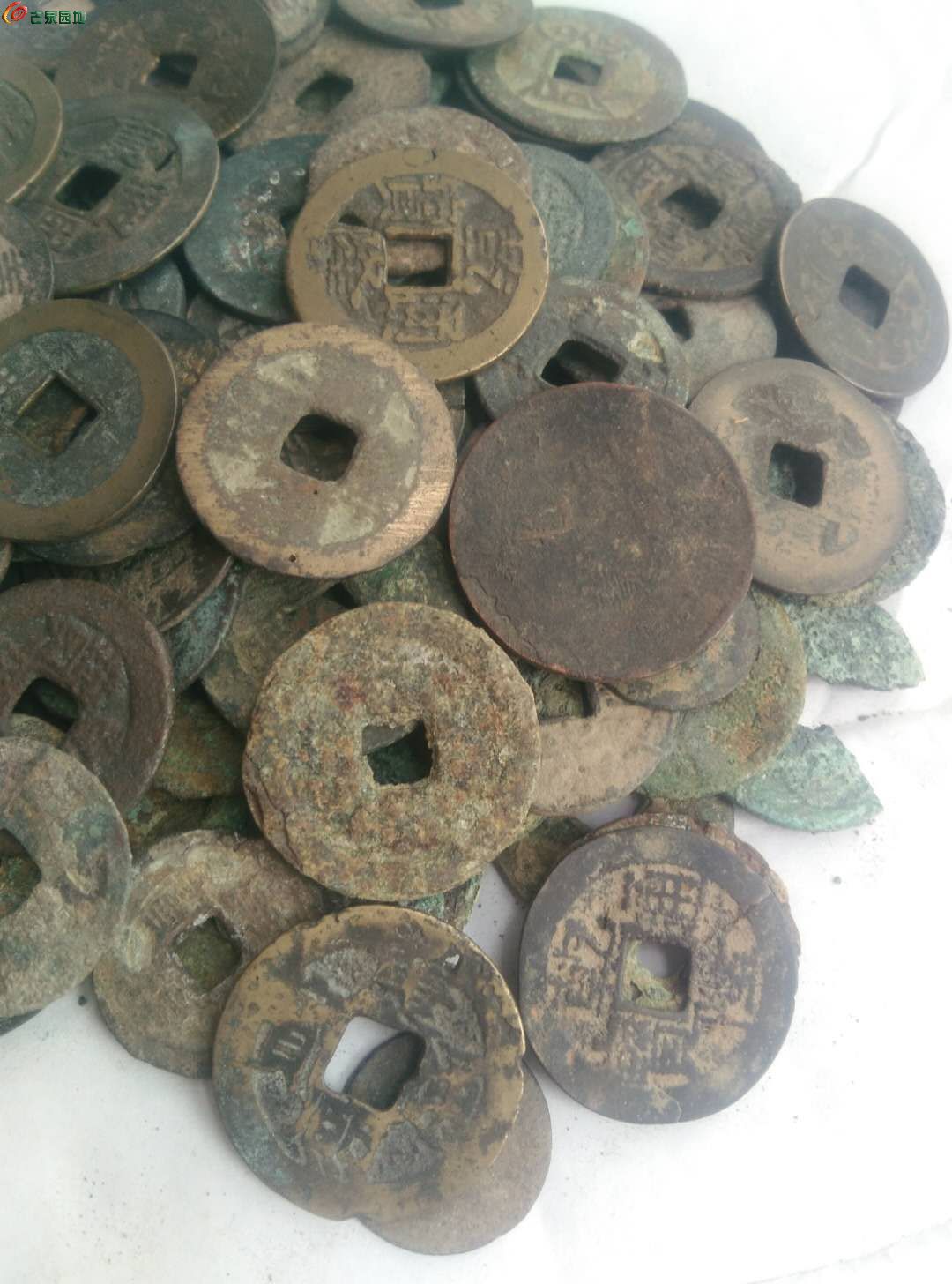 残破币(残破币兑换管理)