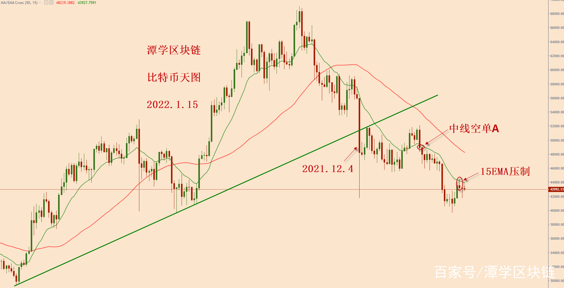 币天(币天堂)