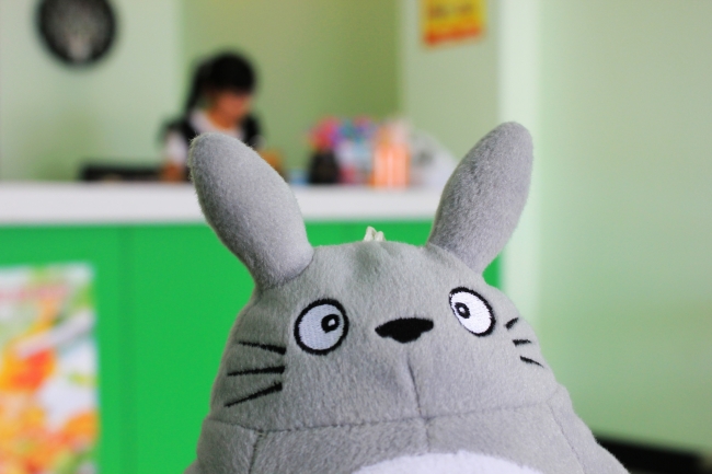 龙猫币(龙猫币是负数是什么意思啊)