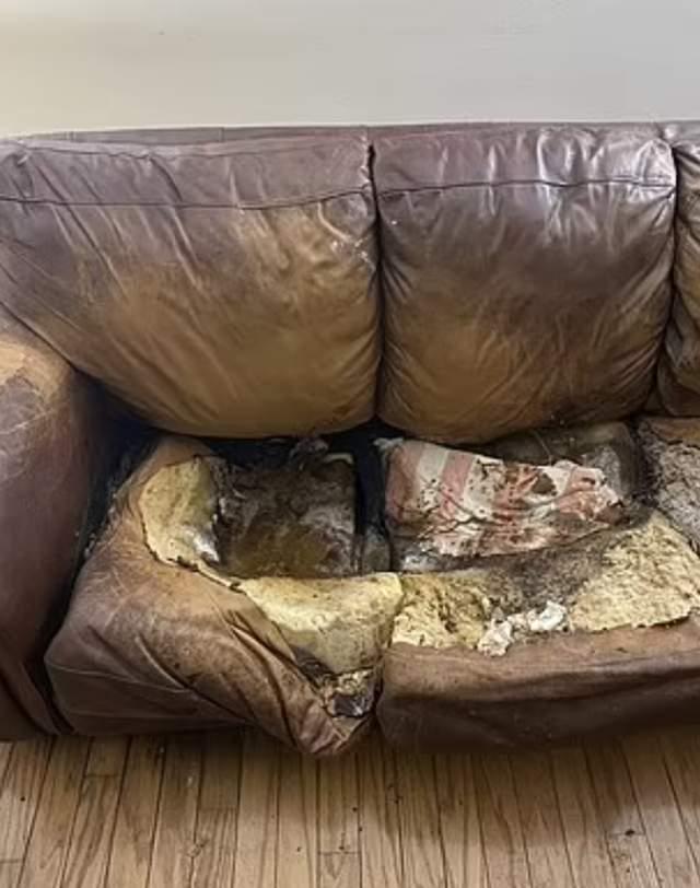 屋里币(物理变化)