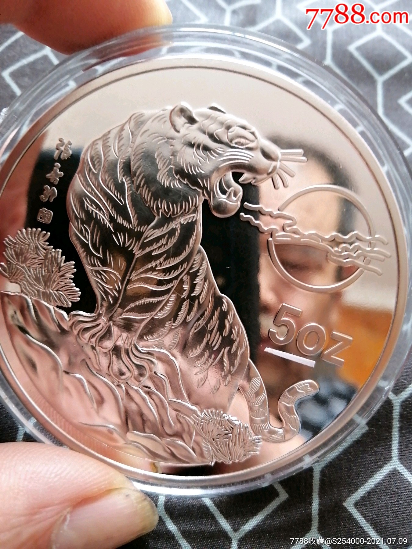 虎币(虎刺梅的寓意和象征风水)