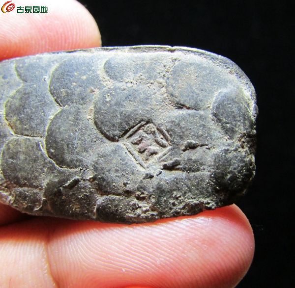 龟币(龟币图片)