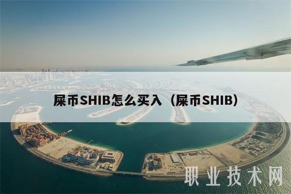 屎币(屎币最高涨了多少倍)