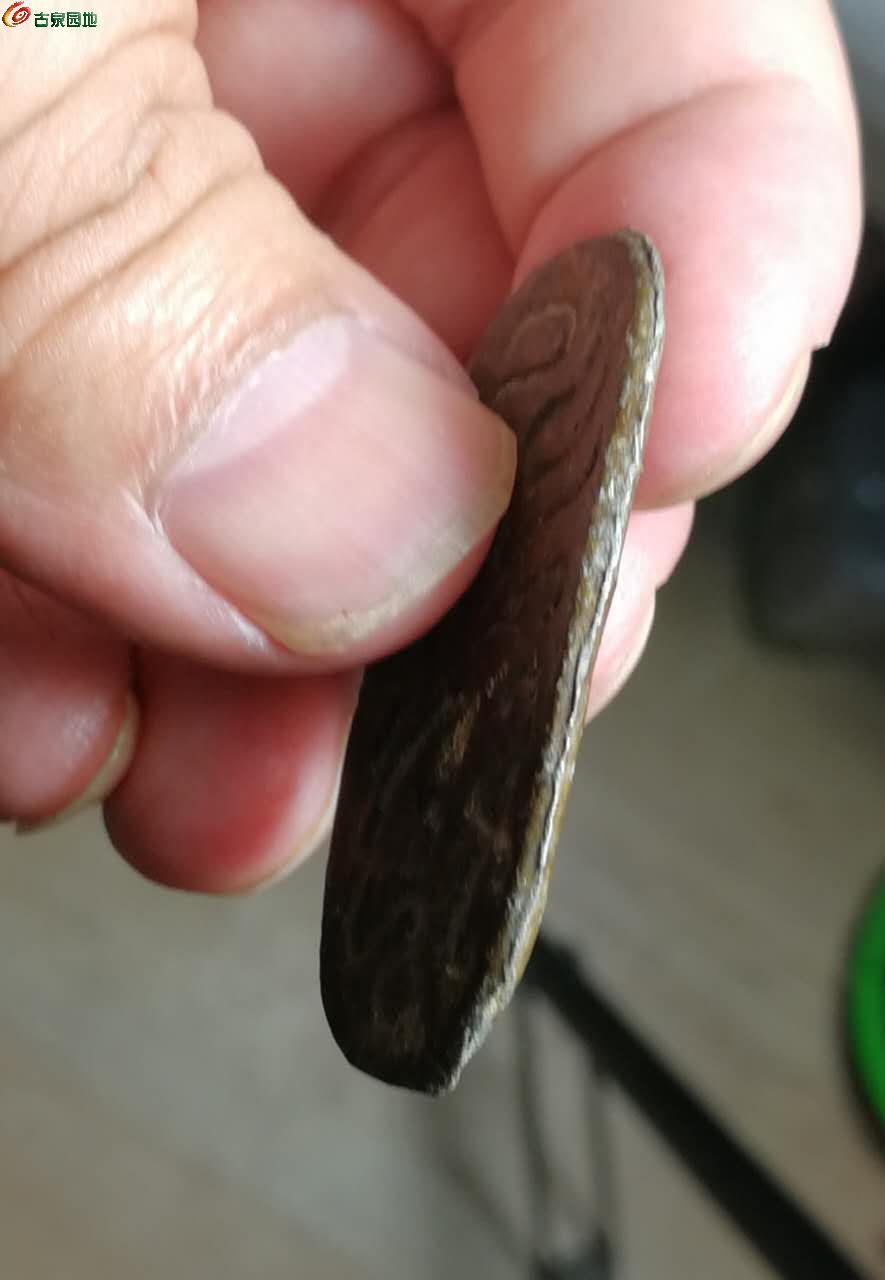 龟币(龟兔赛跑新编)