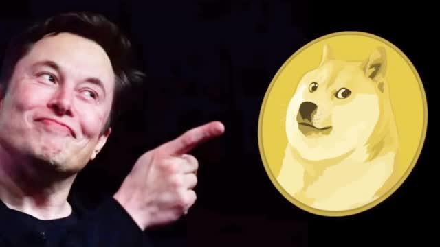 趣币(他趣发一条信息要多少趣币)